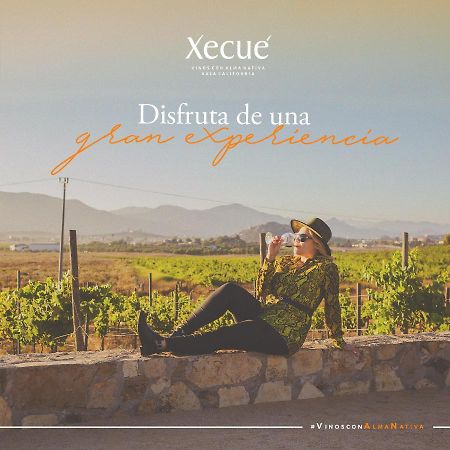 Hotel Vinos Xecué Ensenada Exterior foto